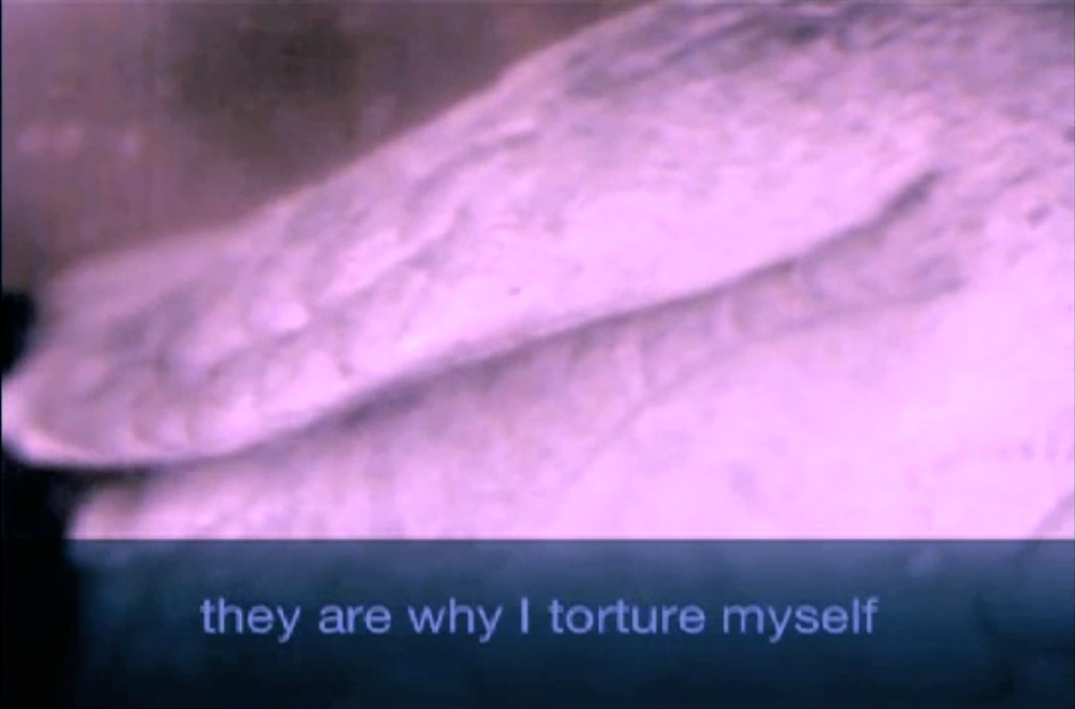 "If One of My Personalities Tries to Kill Itself, It's a Hostage Situation"