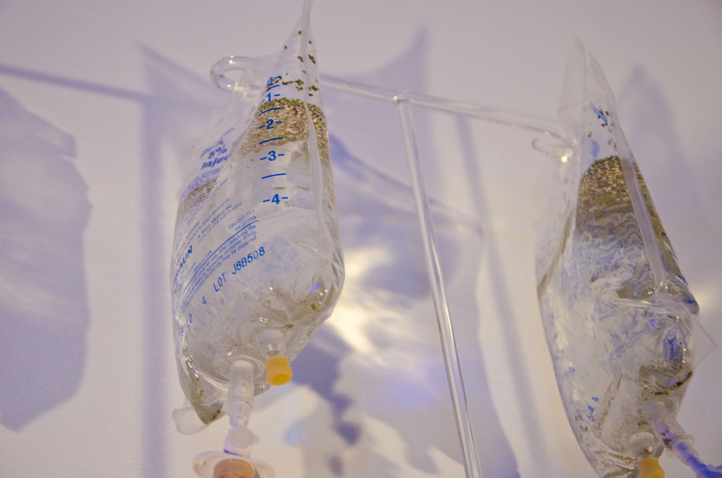 "Do Not Resuscitate" (detail 4)