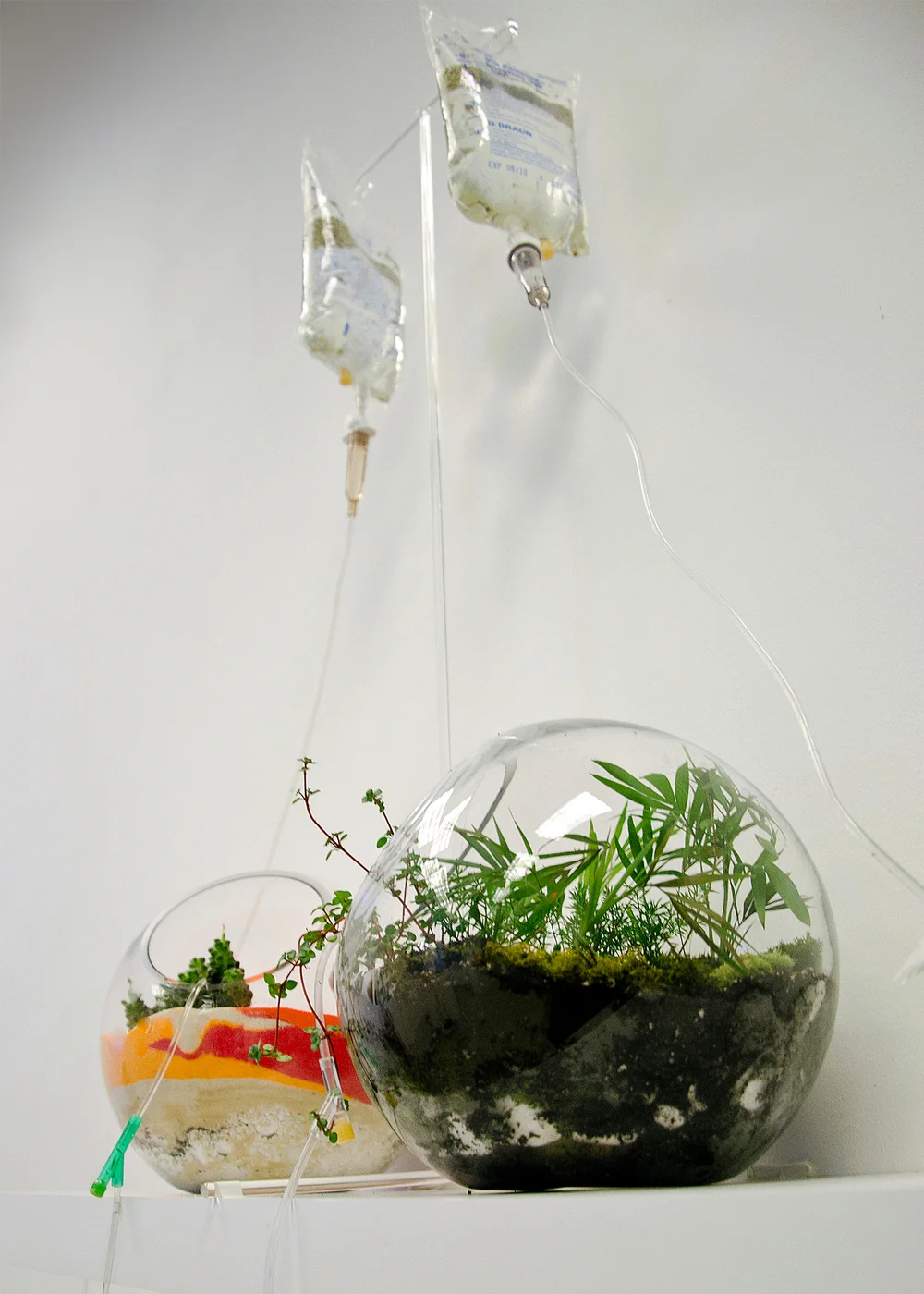 “Do Not Resuscitate” 2013