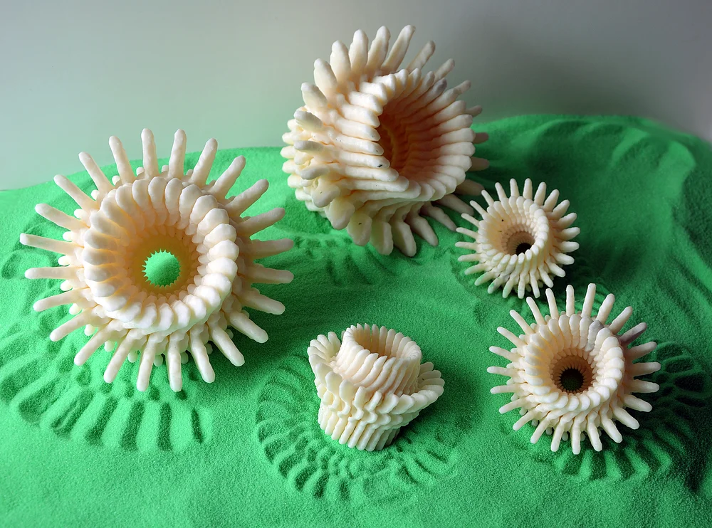 “Nature Kit 3013” 2013