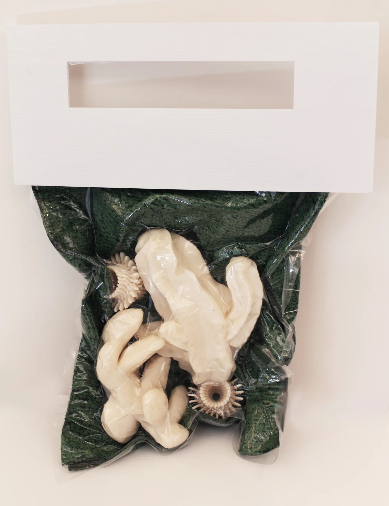 “Nature Kit” 2012