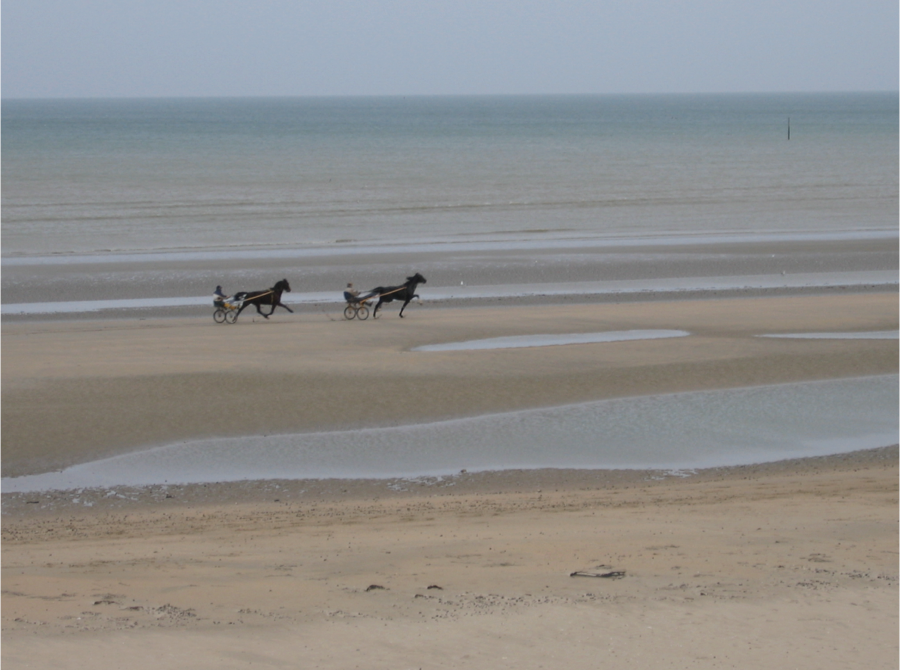 Carriages on an empty Utah Beach, Christmas Eve 2004.