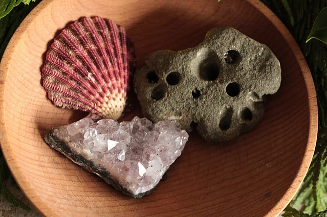 Natural items for Steiner advent verses via Frontier Dreams