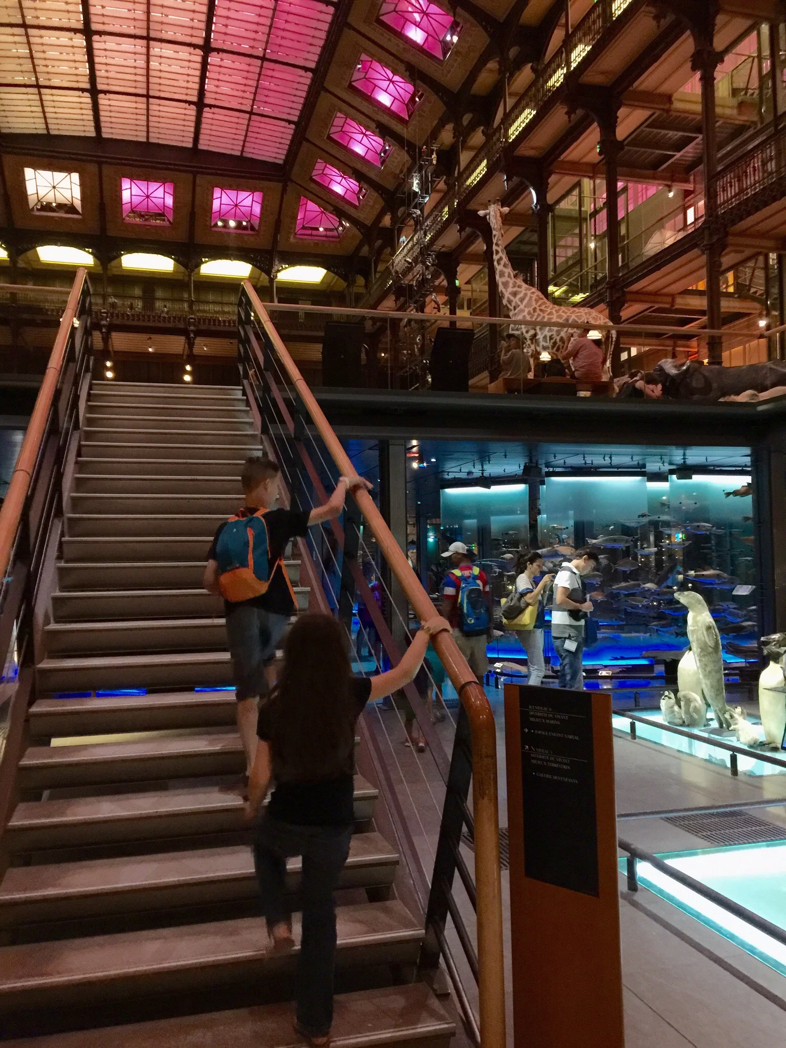 Accessing the second floor inside the Grand galerie de l'Evolution