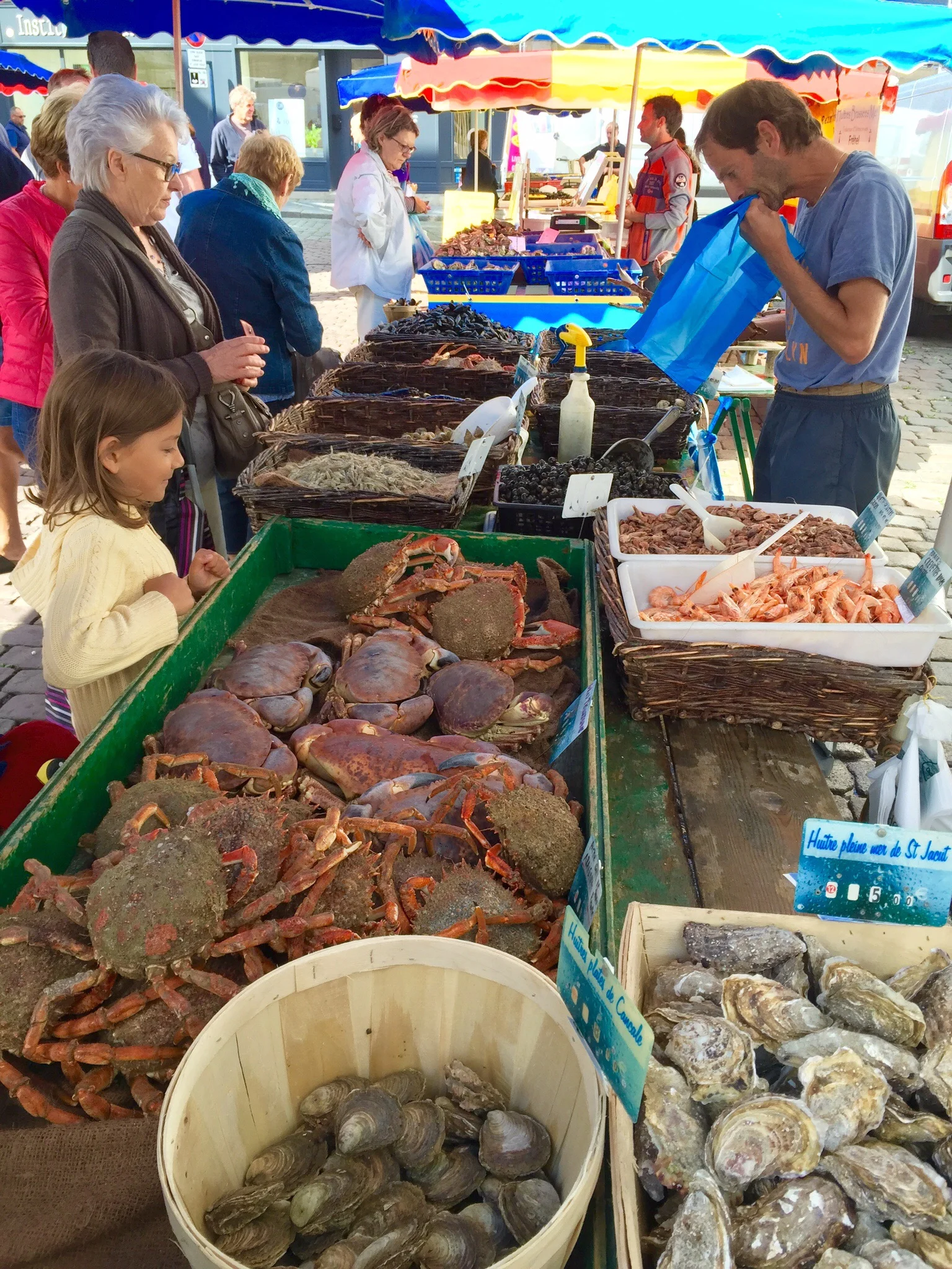 Checking out the seafood at an open-air market in Bretagne, France