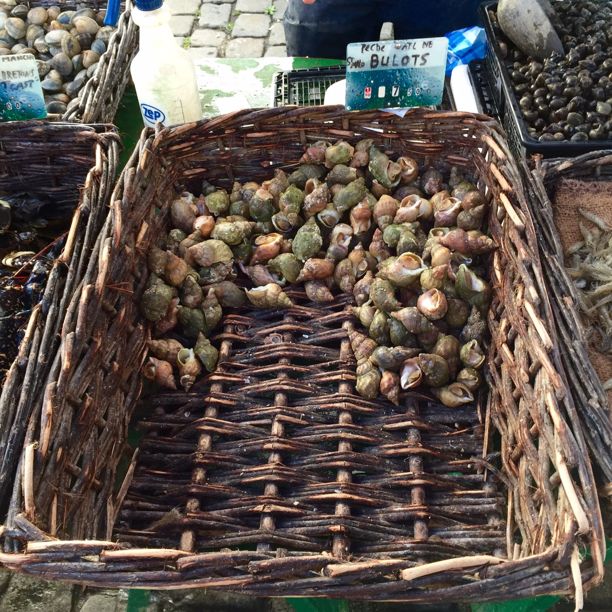 Bulots (sea snails)