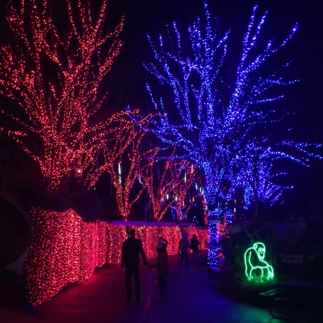 ZooLights in Oregon: Why it's Better than Ever (plus a giveaway ...