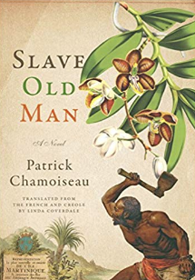 Slave Old Man French Fiction Novel Recommendation Modern 2019.png