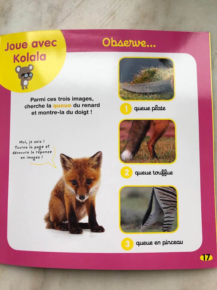 Kolala french toddler preschool magazine animal lovers blog review subscription.jpg