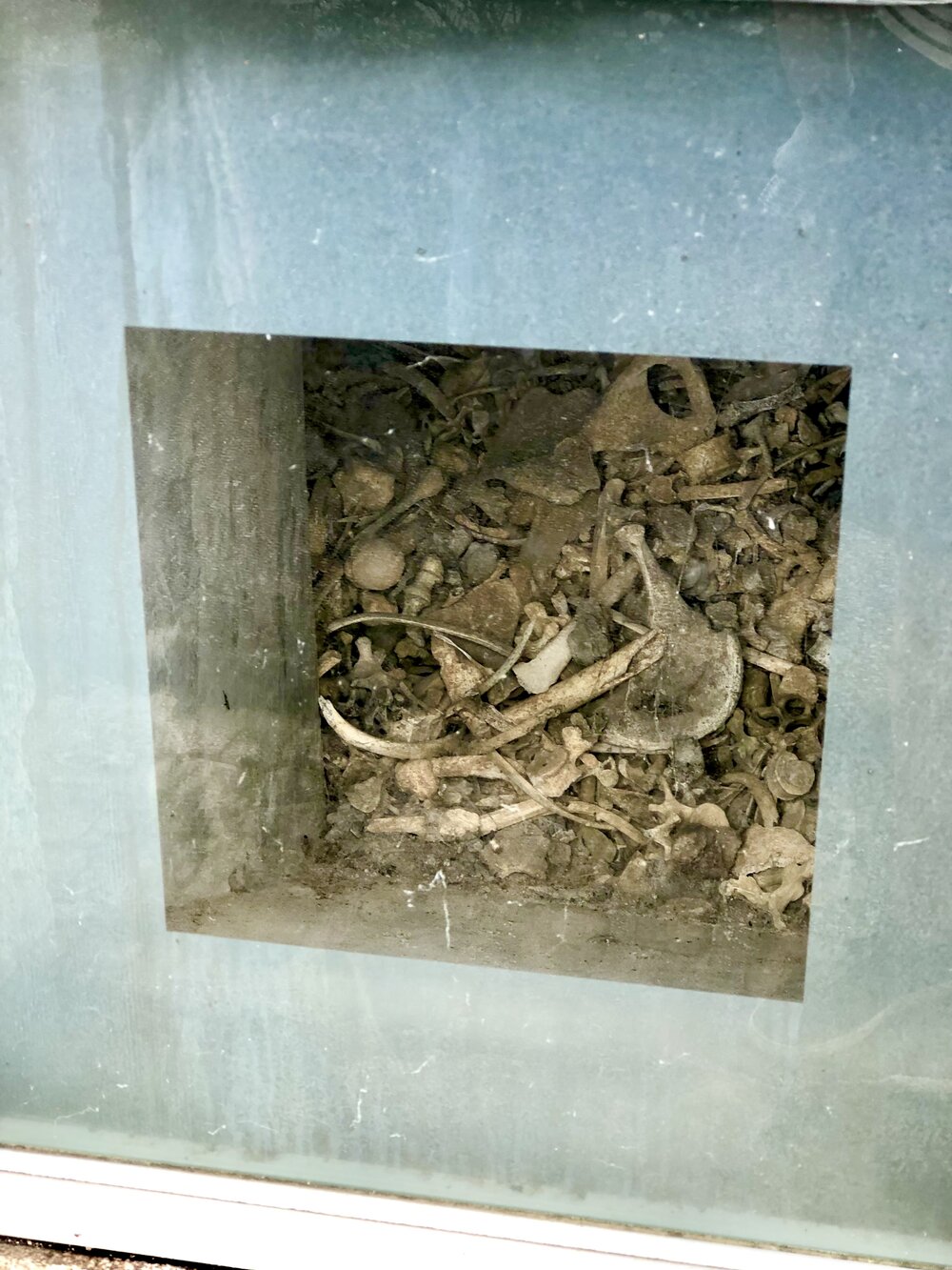 Douaumont ossuary bones WWI family visit cemetery site france.jpg