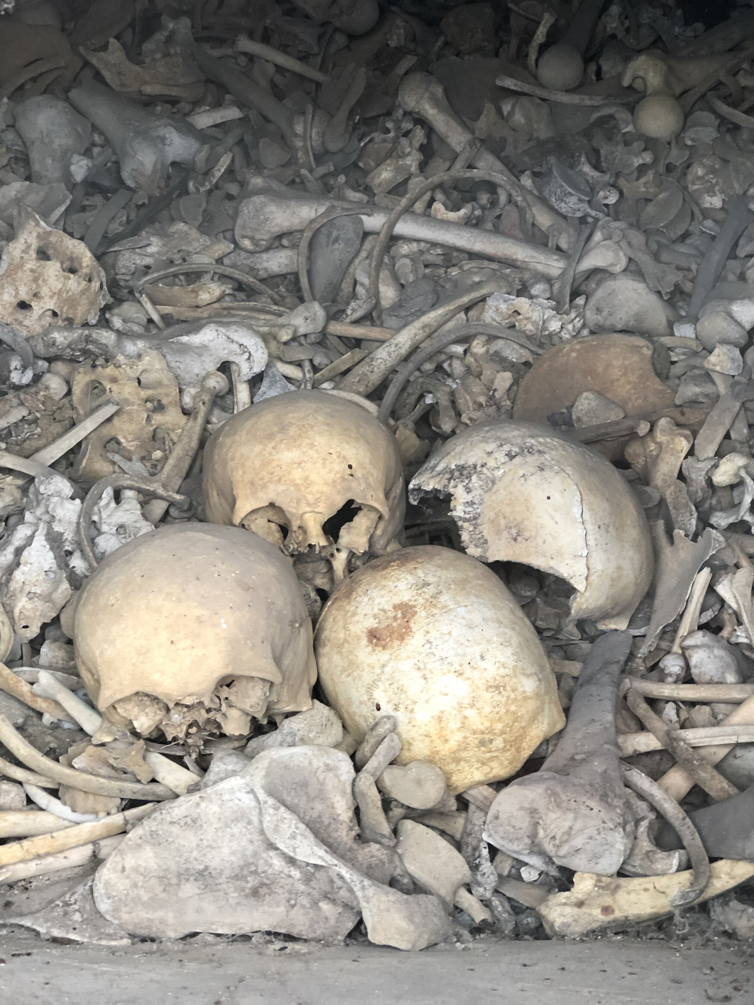 Verdun Douaumont ossuary bone cemetery wwI unidentified.jpg