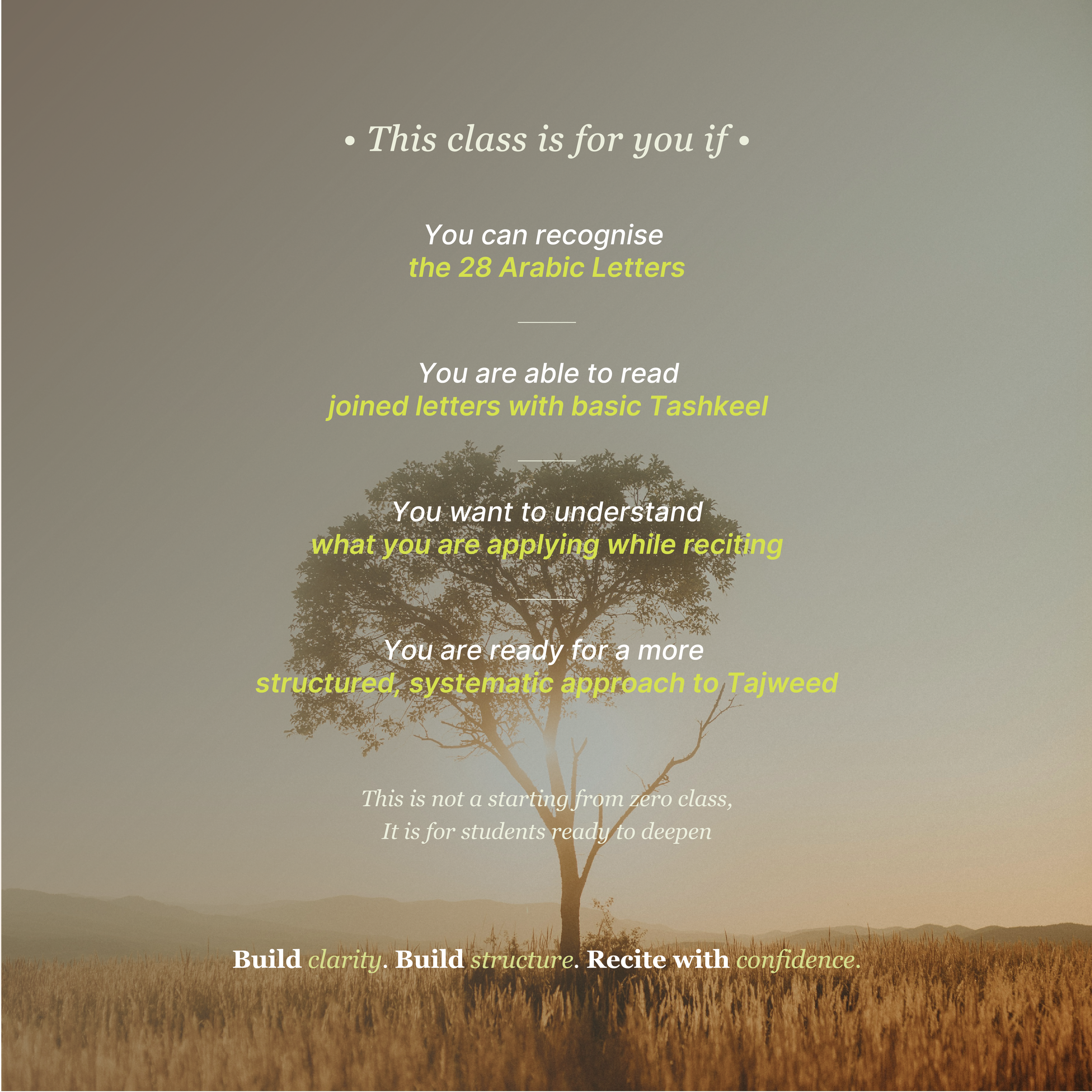 IGFEED TAJWEED QLM NOV-02.png