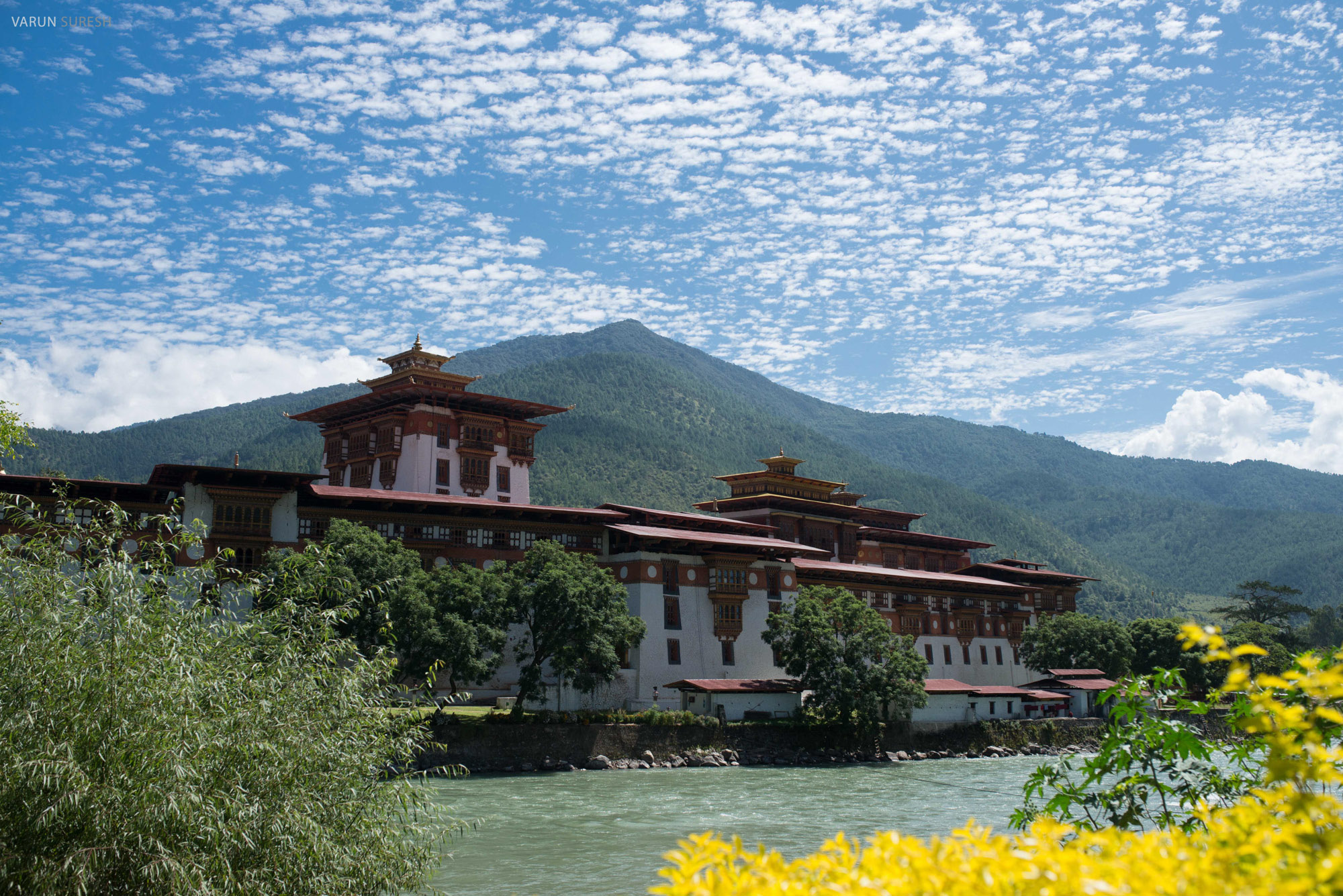 Bhutan_113.jpg