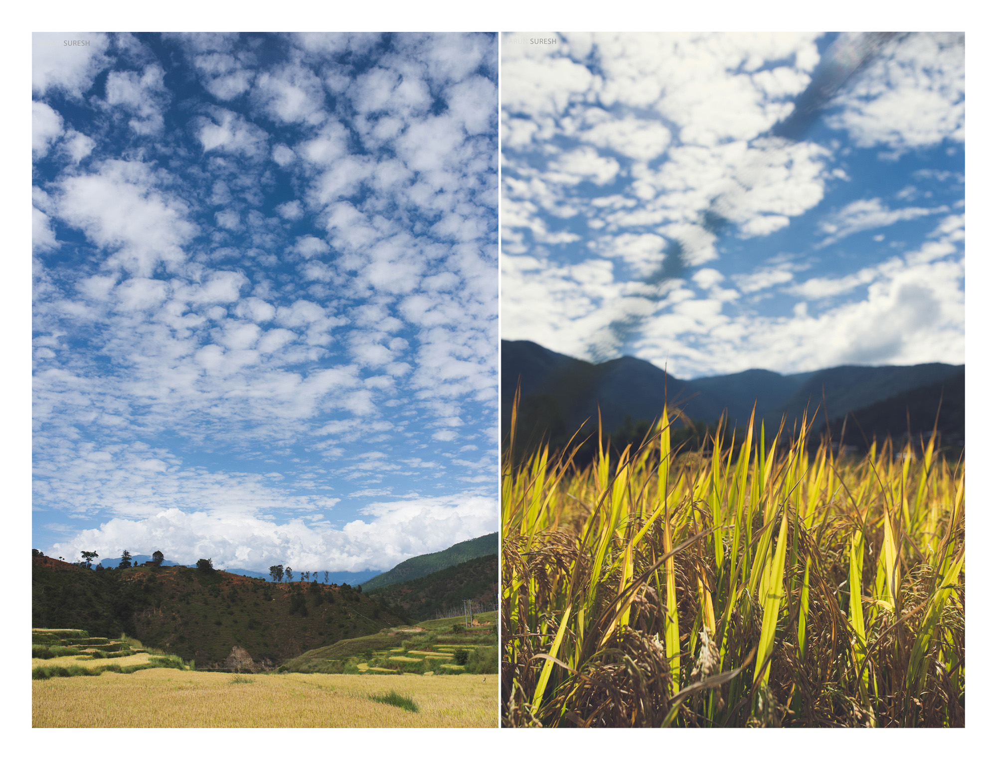 Bhutan_124 copy.jpg