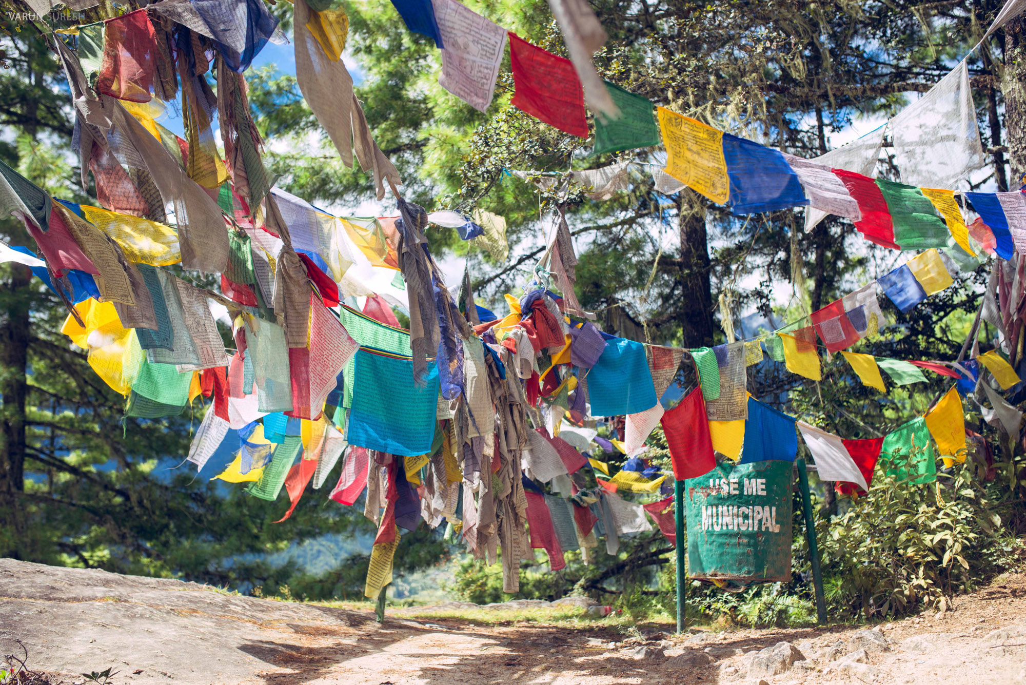 Bhutan_156.jpg