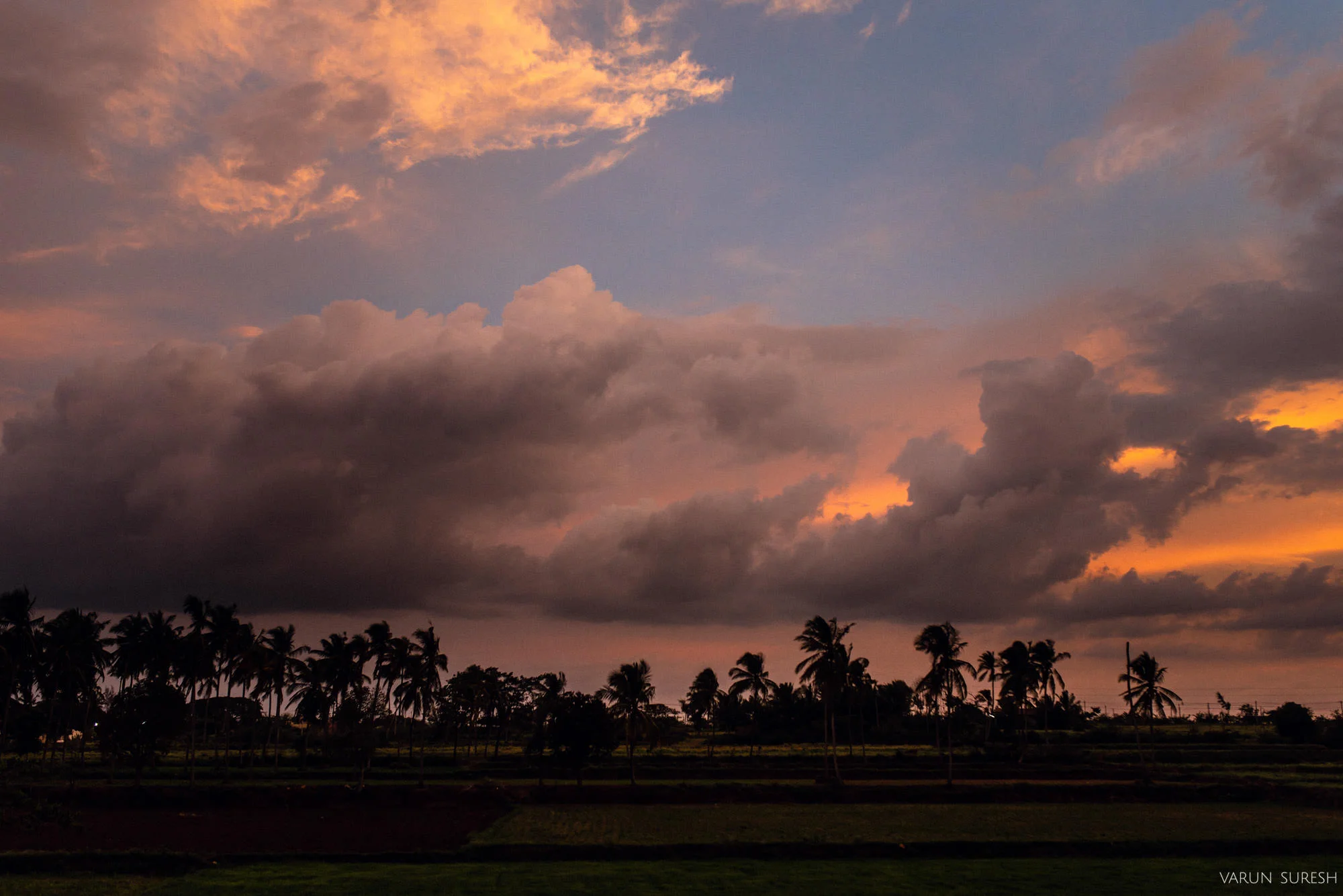 Goa_2017_17.jpg