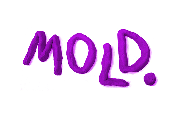 Mold-01-Bill-Maass.jpg