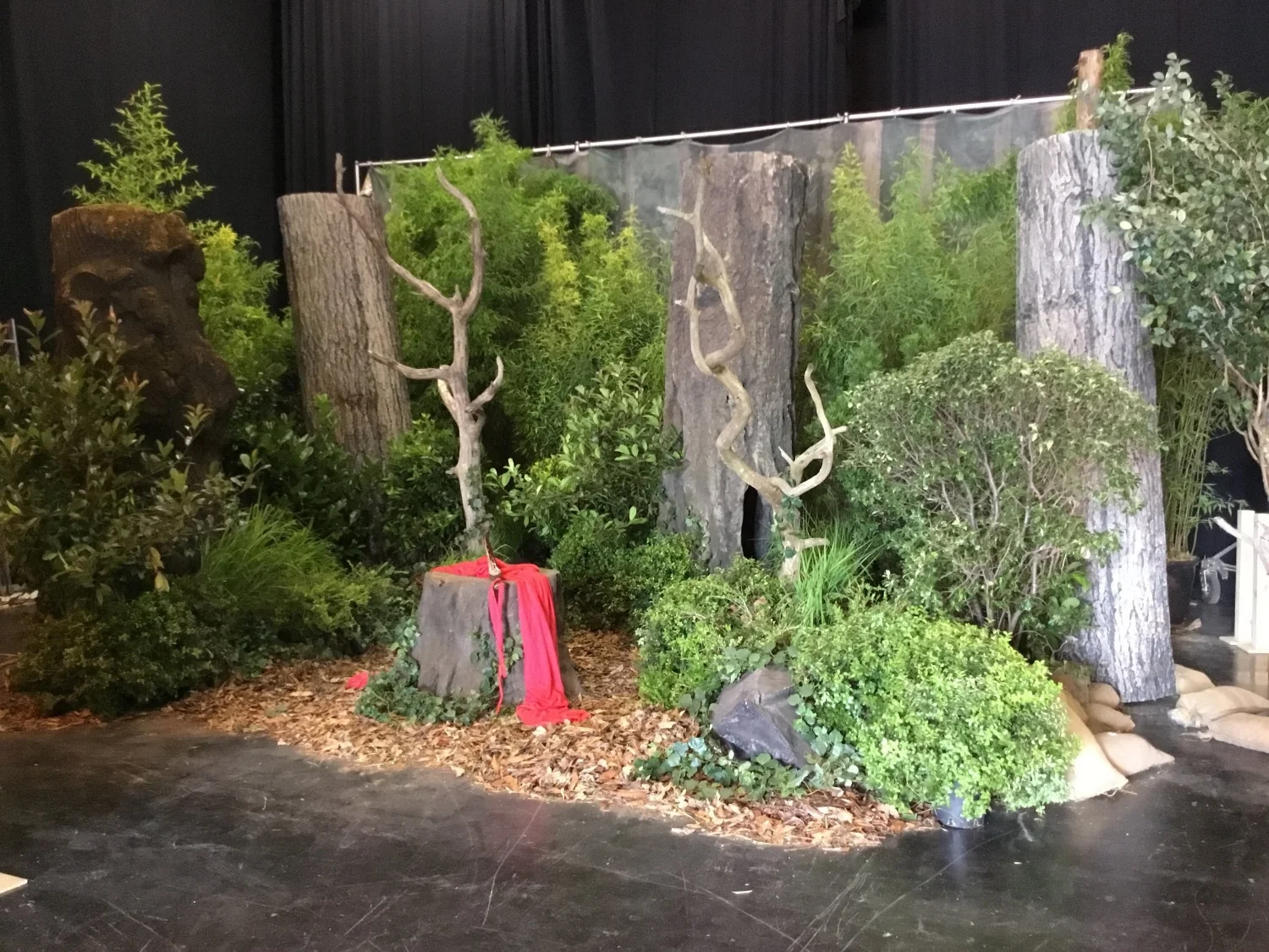 DRACTERIA - Woodland Orgy, low budget Horror / Science Fiction movie set