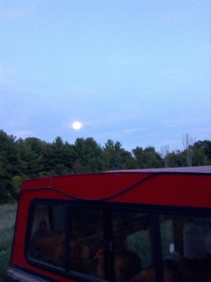 Super moon chickens