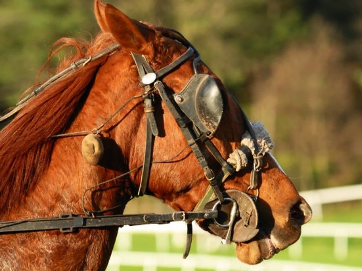 Why you may be blind to bad behavior at work and the harm it is causing