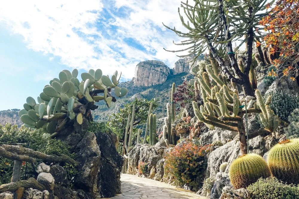 The maze-like terraced gardens of Les Jardins Exotiques.