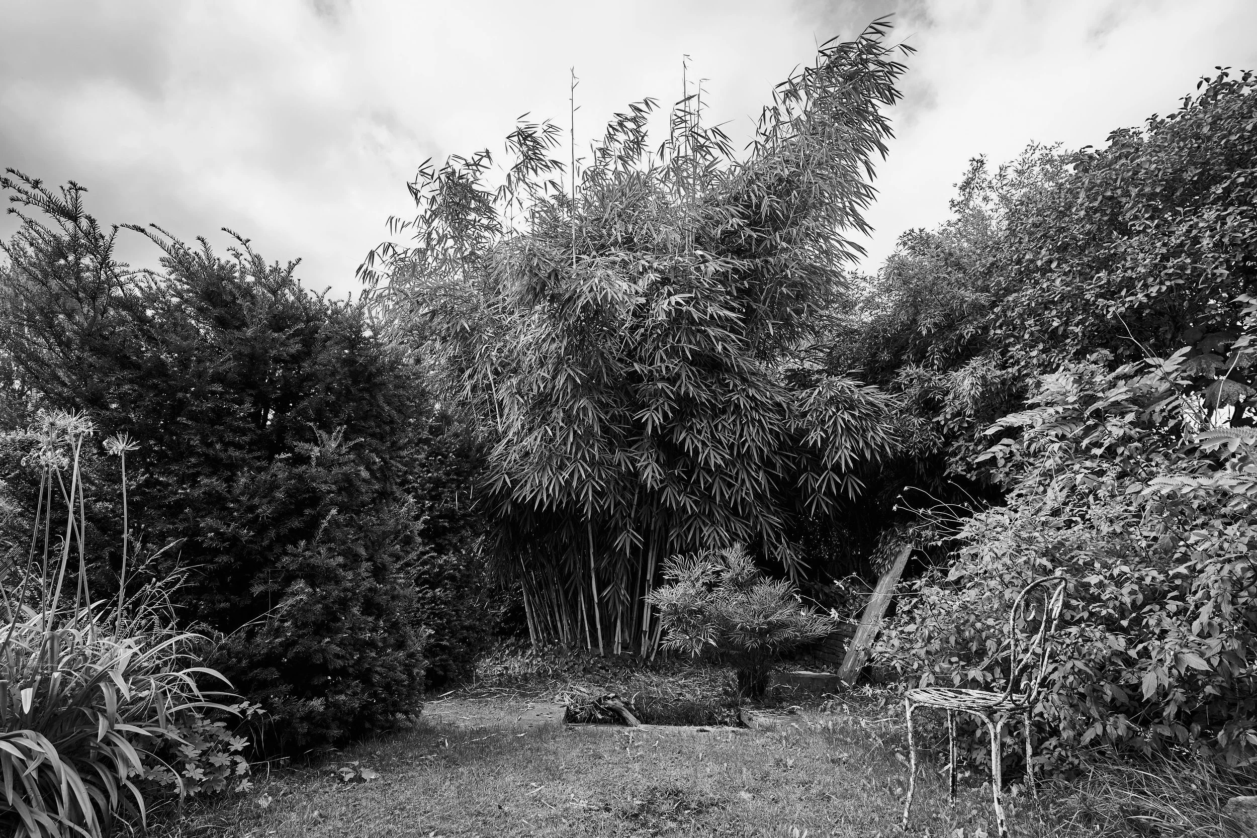 DSC04772_BW.jpg