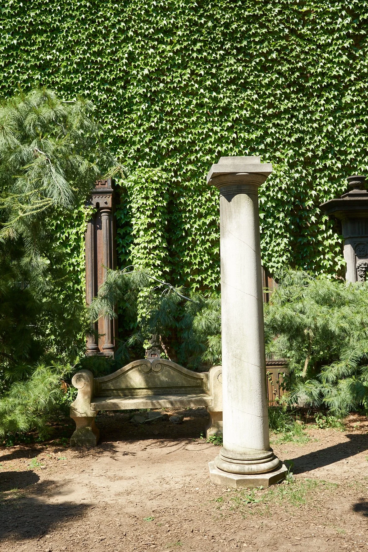 DSC02890.jpg