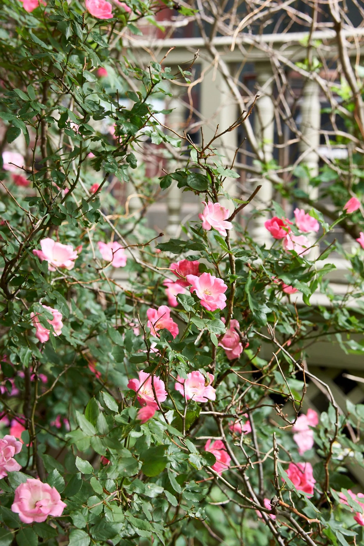 DSC04726.jpg
