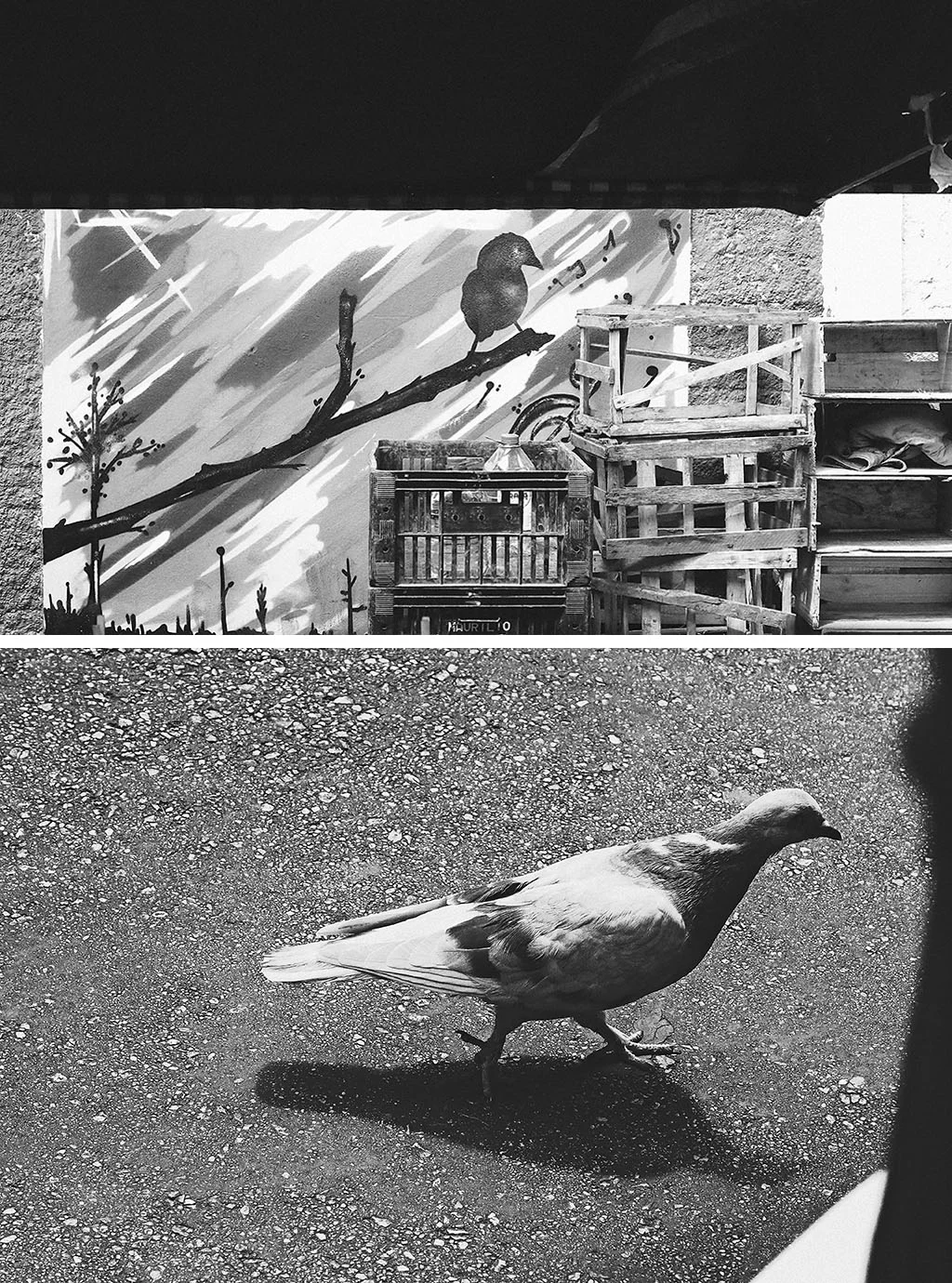 Desabafos Fotográficos {Feira Livre}