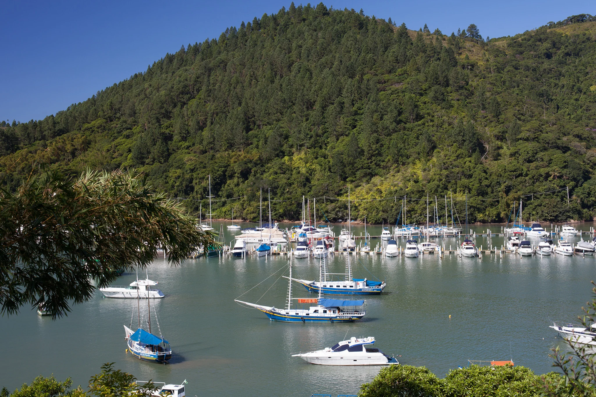 _MG_5796.jpg