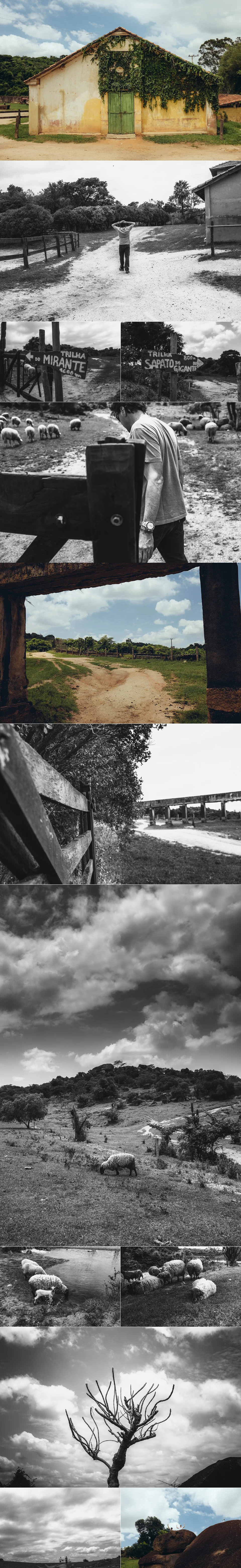4-trilha1.jpg