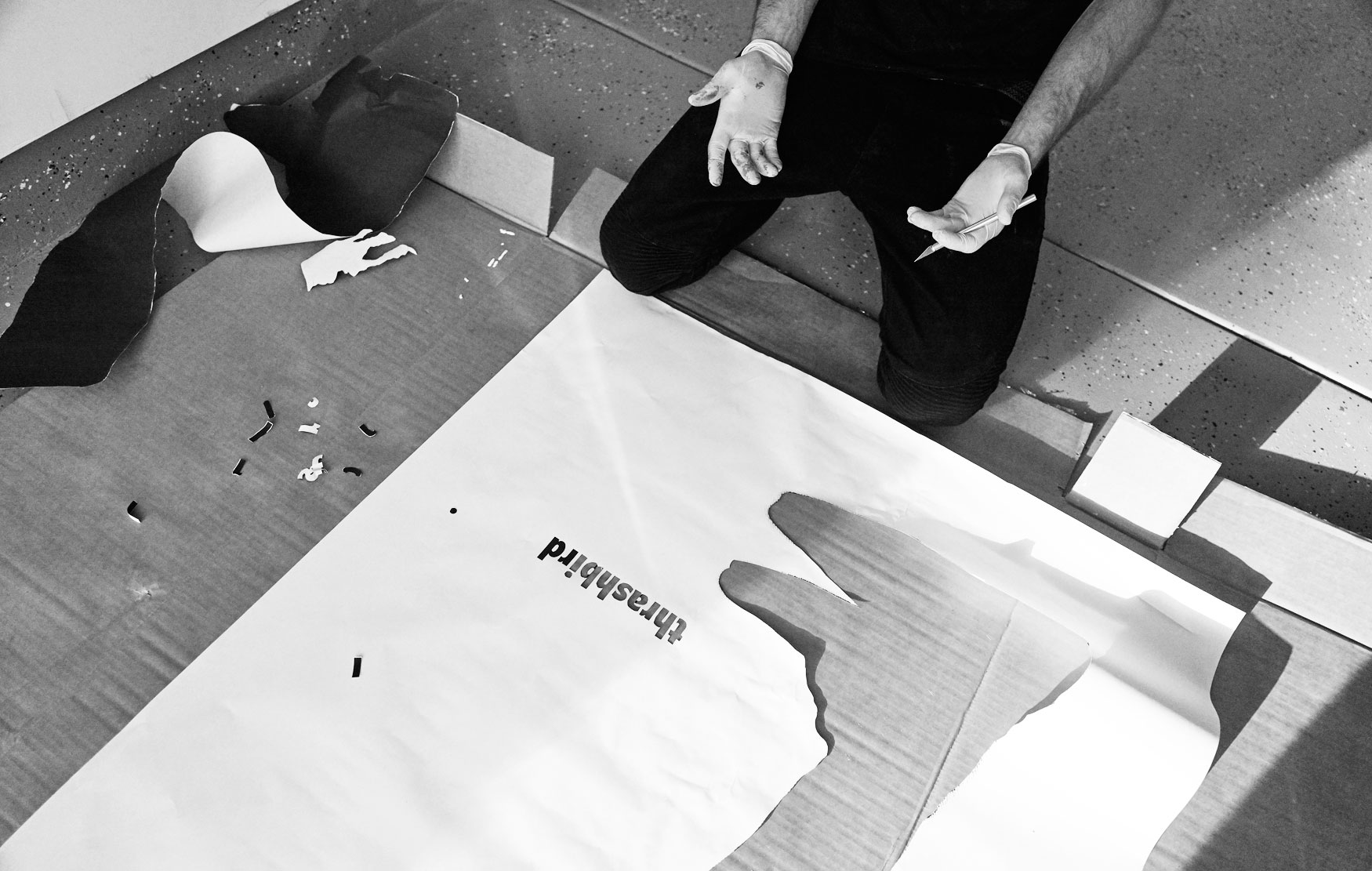 2018-033_B_MichaelScottSlosar_Thrashbird-857_BW_RT.jpg