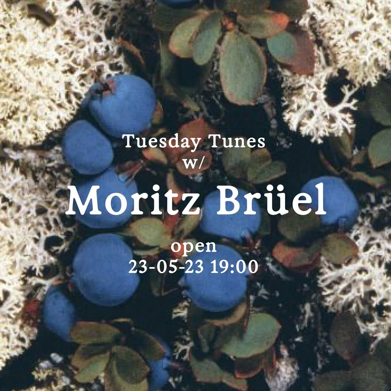 TUESDAY TUNES • mit Moritz Brüel