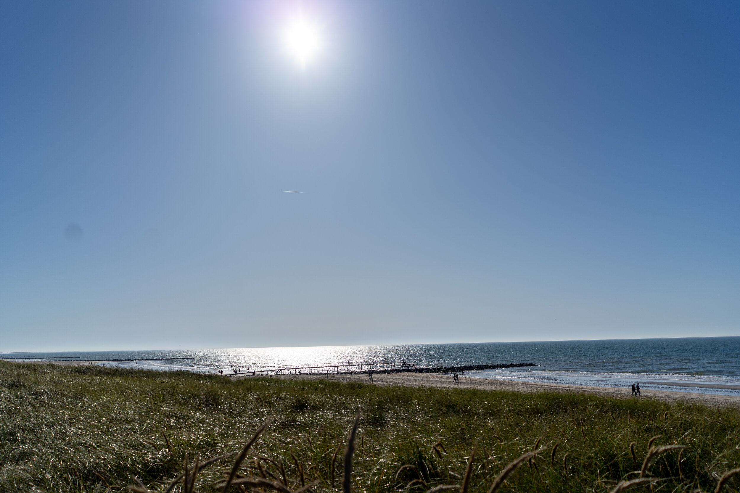 _DSC4565.jpg