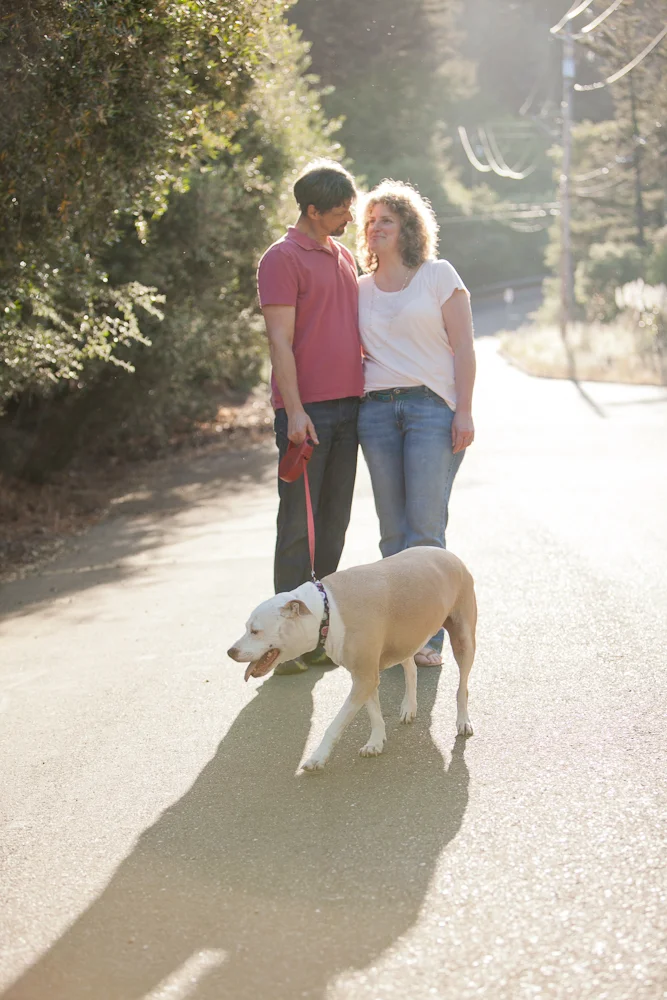 pit bull walking with owners