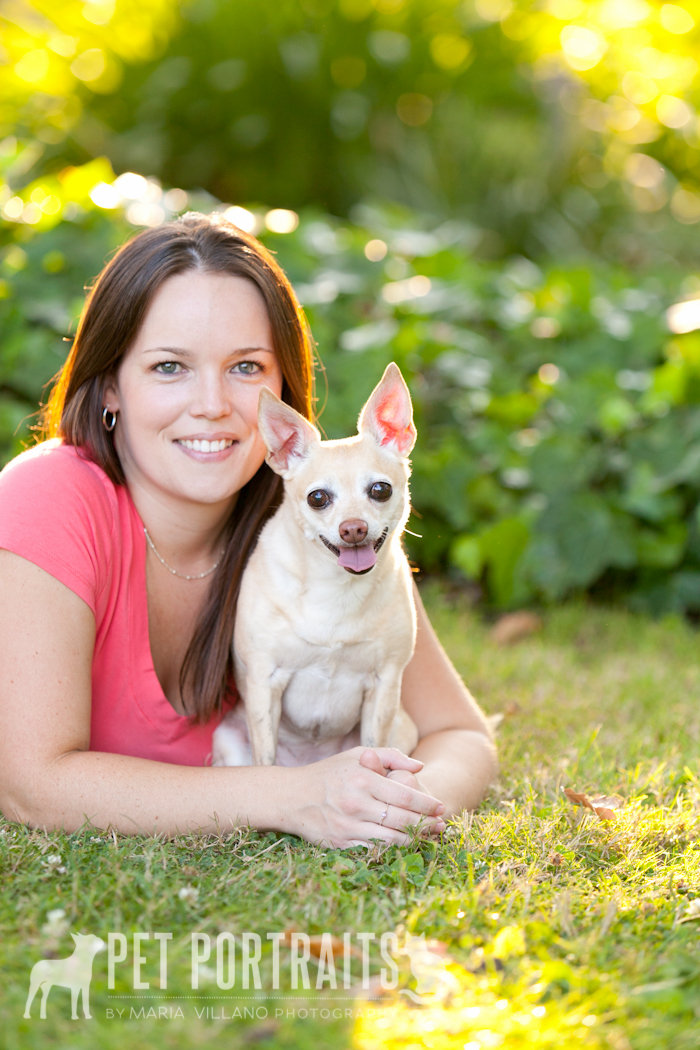 Dog with owner photography santa rosa