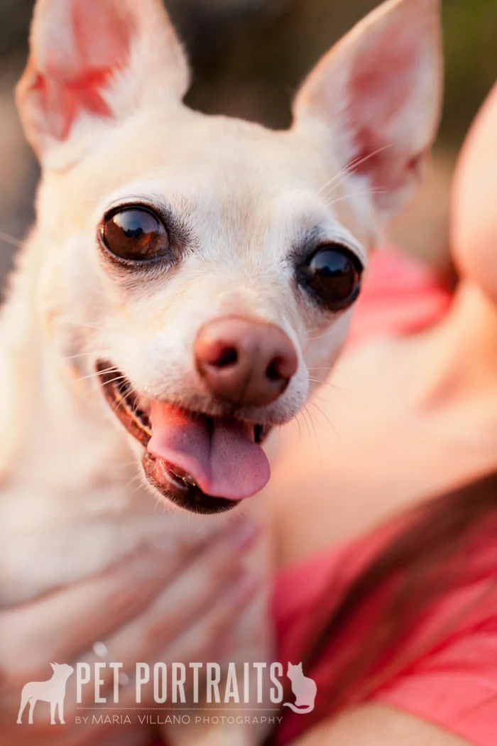 Lilly-34.jpg