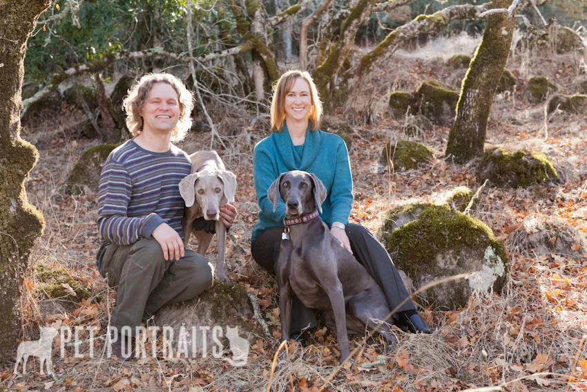 owners with two dogs in northern california pet photography session