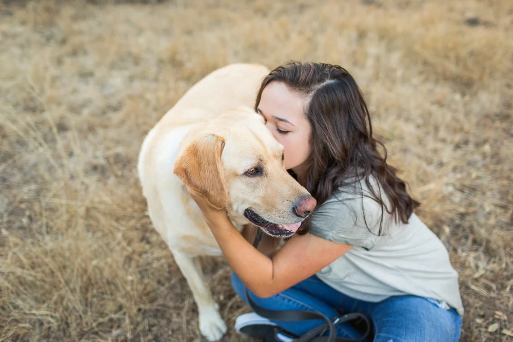 Yellow-Lab-with-best-friend-sonoma-pet-photographer-3.jpg