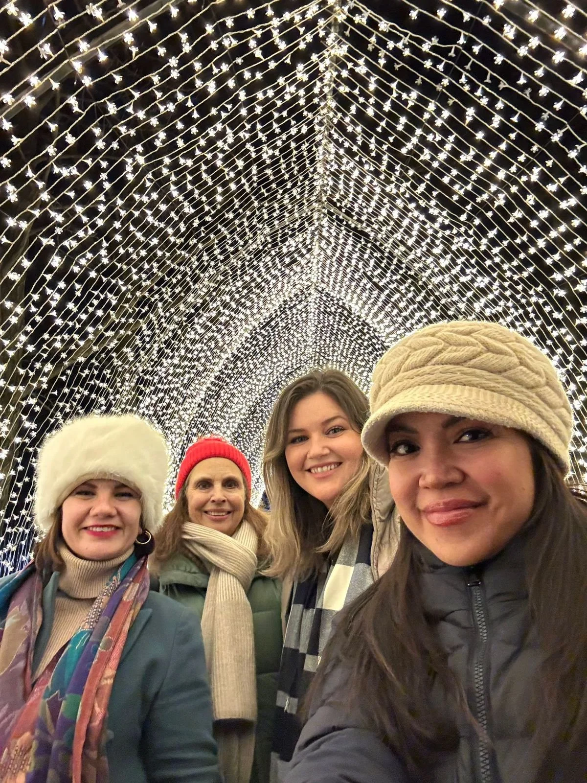 Holiday Lightscape + Lodge at the Brooklyn Botanical Garden (ART-FULL MEMBERS)