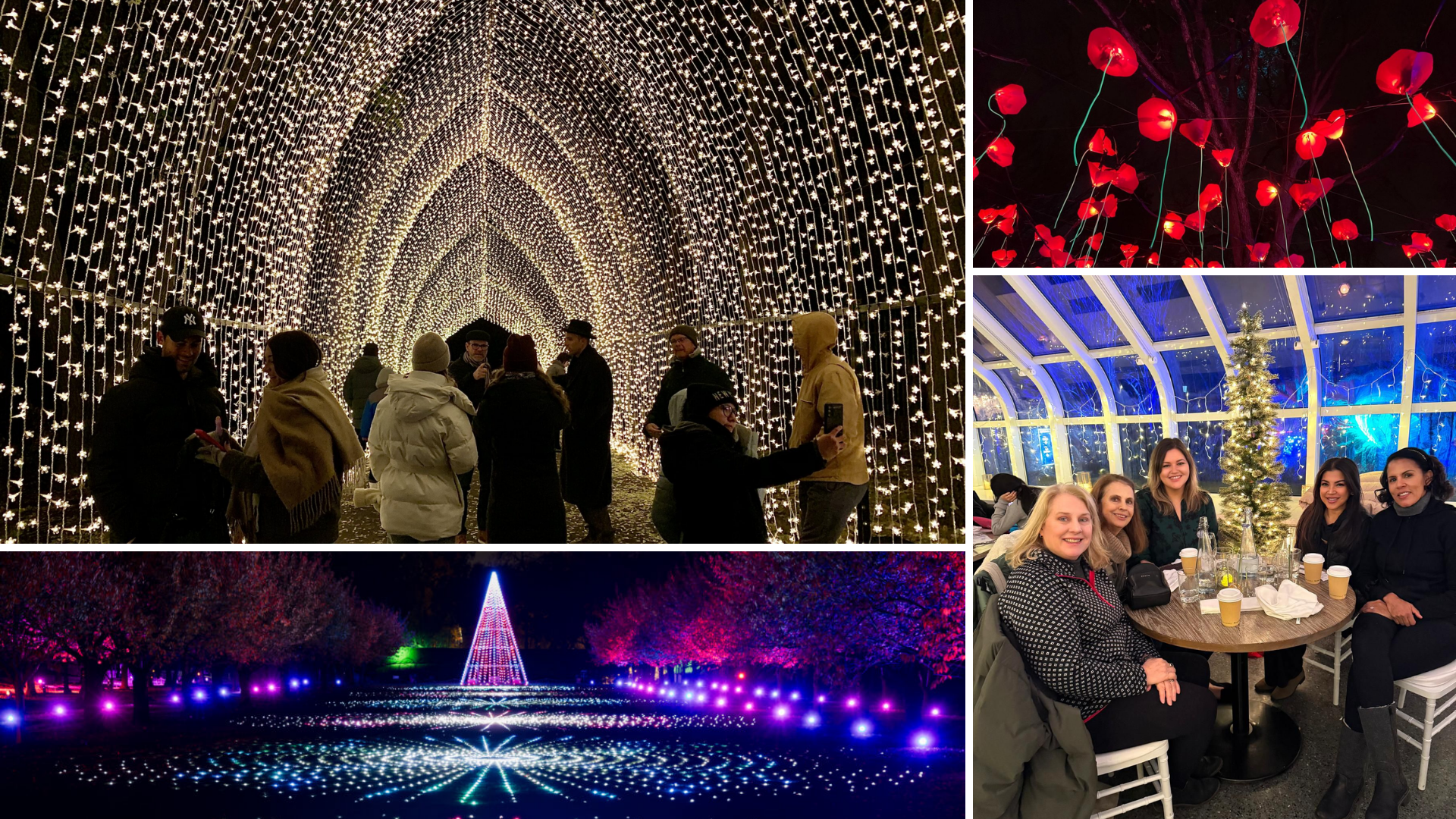 Holiday Lightscape + Lodge at the Brooklyn Botanical Garden (NYC)