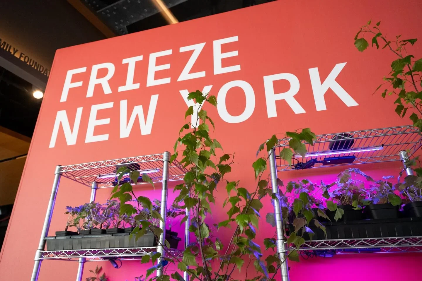 Frieze NYC Curated tour: Where Contemporary Art Comes Alive