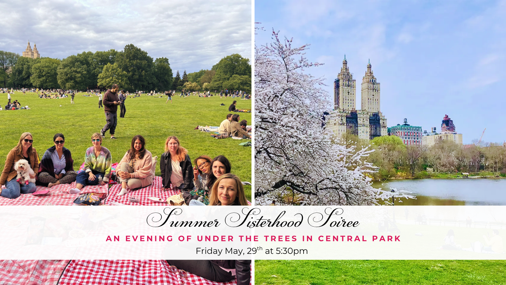 An Evening Under the Trees: A Summer Sisterhood Picnic in Central Park