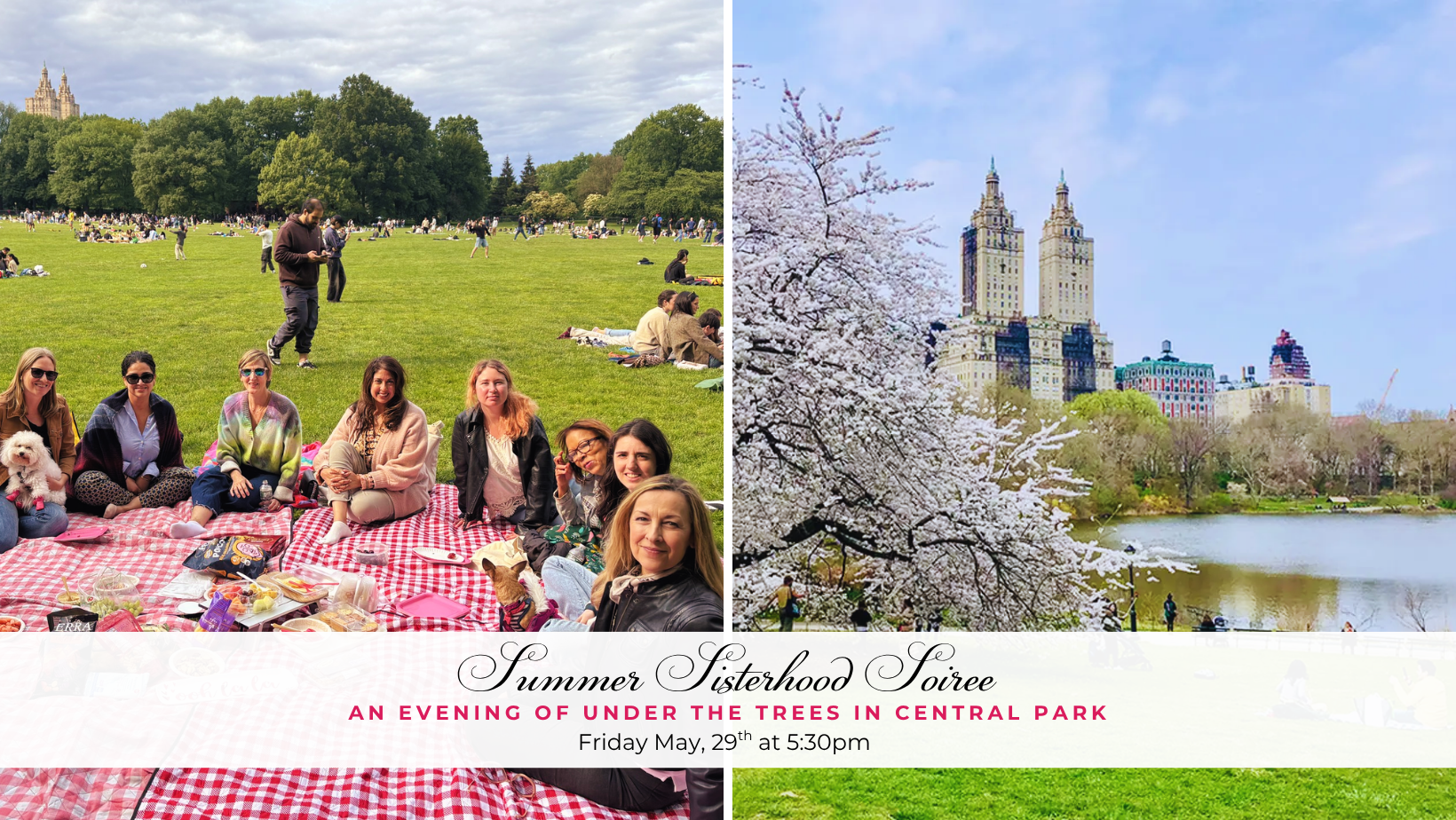 An Evening Under the Trees: A Summer Sisterhood Picnic in Central Park
