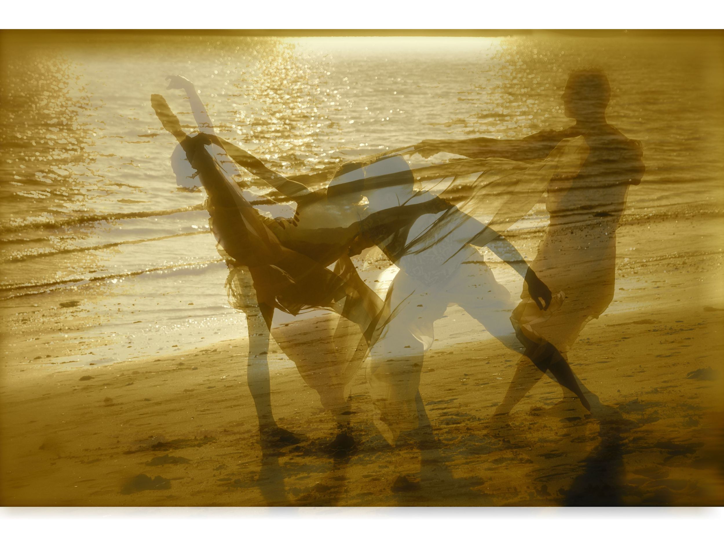 Oak Ballet fusion # 1.jpeg