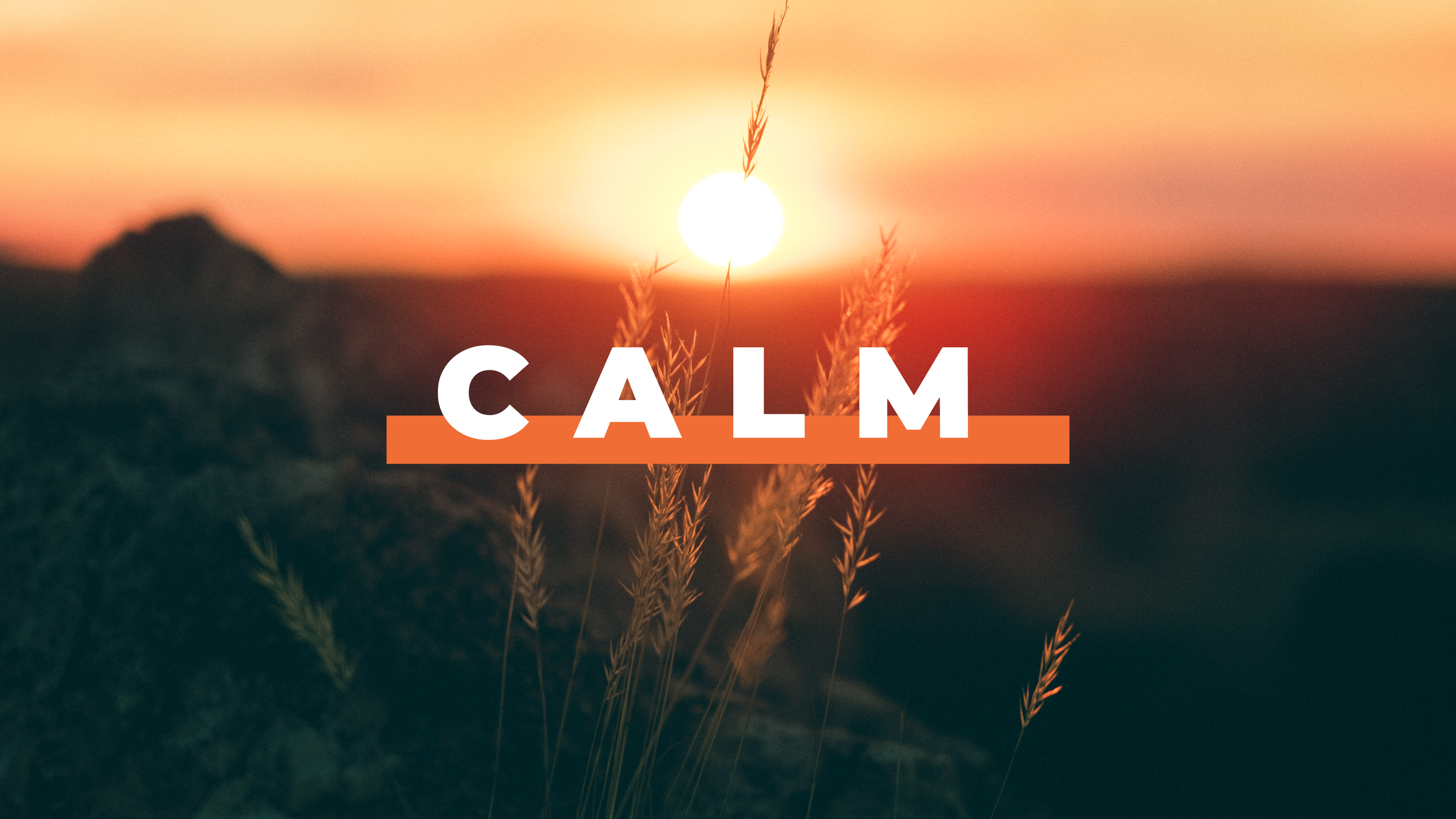 C.A.L.M.