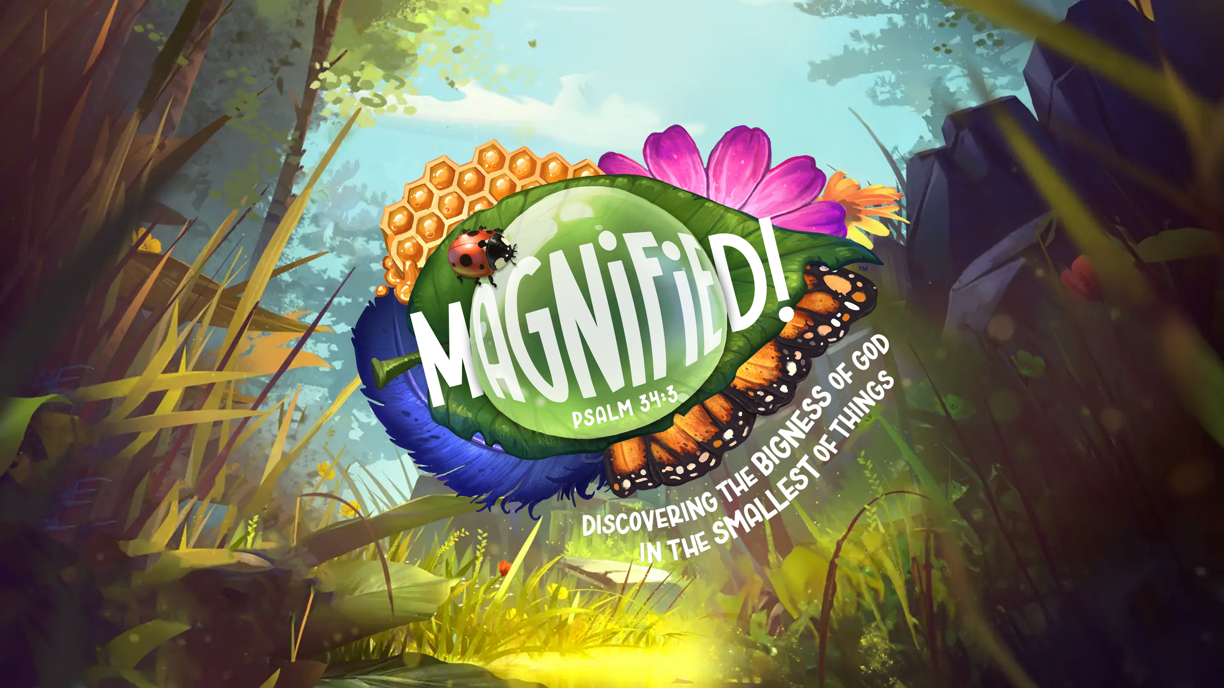 VBS2025_MainGraphic_16x9.png