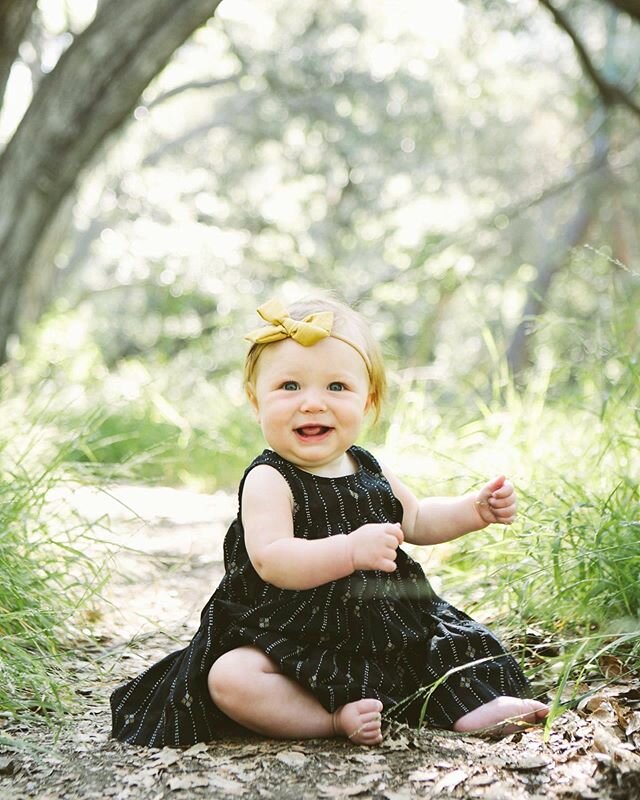 Babe in the wood! #familyphotographer #safetyfirst #sweetbabe #photographyinthetimeofcovid #courtneylindbergphotography