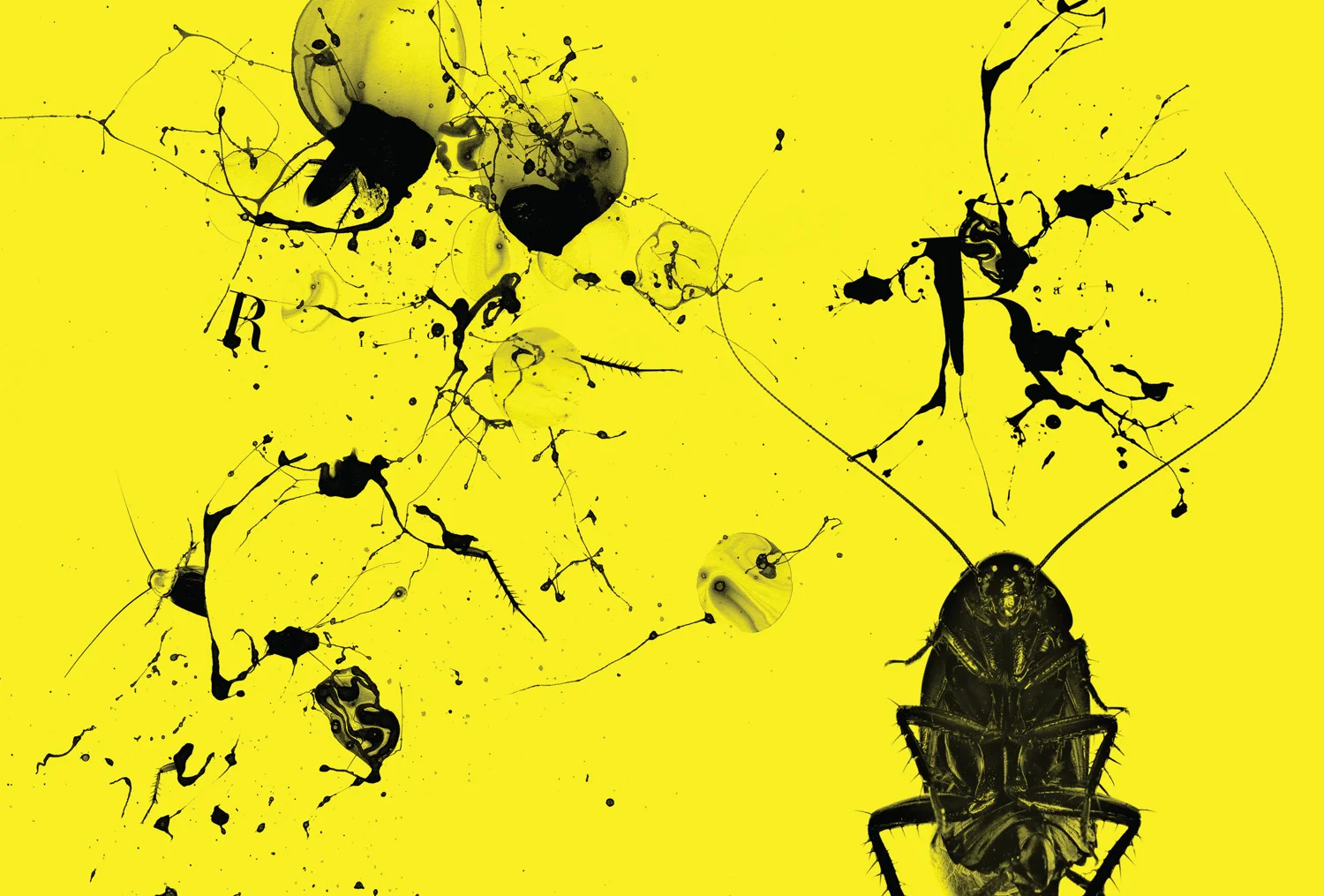 squarespace_0007_Layer 9.jpg