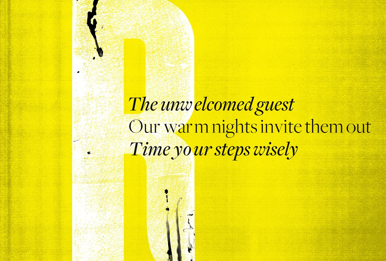 squarespace_0008_Layer 8.jpg